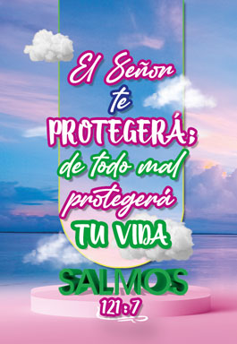 Bolsillo Salmos